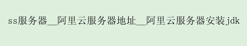 ss服务器__<a href='https://aliyun.58g.com.cn' target='_blank' title='阿里云'><strong>阿里云</strong></a>服务器地址__阿里云服务器安装jdk