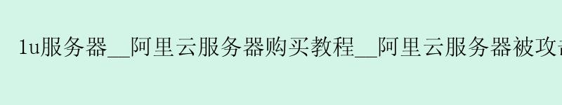 1u服务器__<a href='https://aliyun.58g.com.cn' target='_blank' title='阿里云'><strong>阿里云</strong></a>服务器购买教程__阿里云服务器被攻击